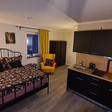 City-Apartment Nr 9 Zarrentin am Schaalsee Buitenkant foto
